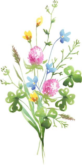 Wildflowers bouquet. Watercolor clipart