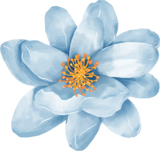 flower blue